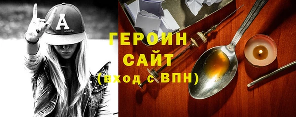 ГАЛЛЮЦИНОГЕННЫЕ ГРИБЫ Дмитриев