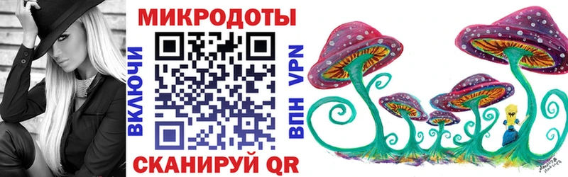 как найти закладки Ардатов Псилоцибиновые грибы Psilocybe